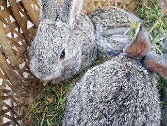 解谜冒险游戏《After Us》全新实机演示公开